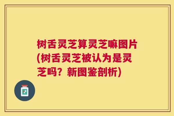 树舌灵芝算灵芝嘛图片(树舌灵芝被认为是灵芝吗?新图鉴剖析) 树舌灵芝算灵芝嘛图片(树舌灵芝被认为是灵芝吗?新图鉴剖析)