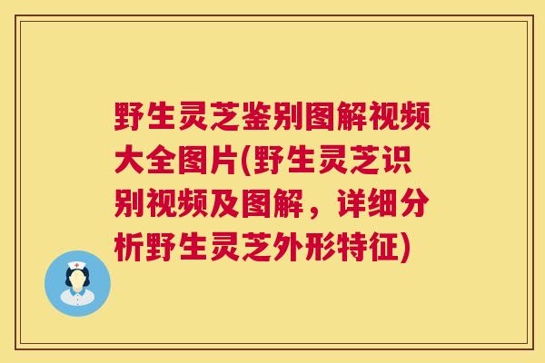 野生灵芝鉴别图解视频大全图片(野生灵芝识别视频及图解,详细分析野生灵芝外形特征) 野生灵芝鉴别图解视频大全图片(野生灵芝识别视频及图解,详细分析野生灵芝外形特征)