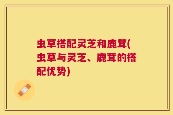 虫草搭配灵芝和鹿茸(虫草与灵芝、鹿茸的搭配优势)