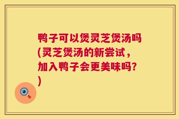 鸭子可以煲灵芝煲汤吗(灵芝煲汤的新尝试，加入鸭子会更美味吗？)