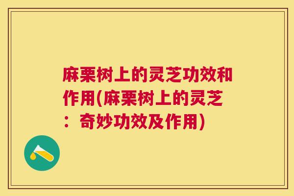 麻栗树上的灵芝功效和作用(麻栗树上的灵芝：奇妙功效及作用)