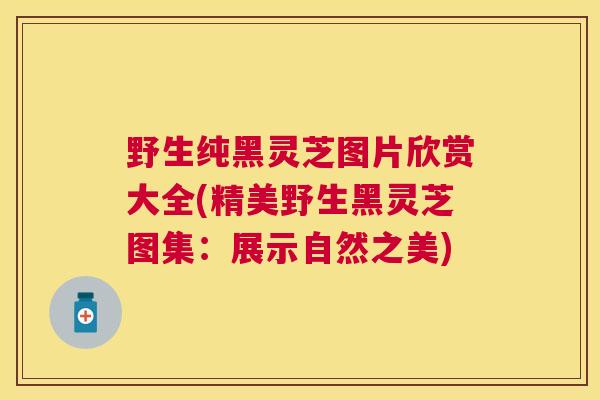 野生纯黑灵芝图片欣赏大全(精美野生黑灵芝图集:展示自然之美) 野生纯黑灵芝图片欣赏大全(精美野生黑灵芝图集:展示自然之美)