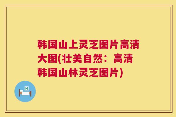 韩国山上灵芝图片高清大图(壮美自然:高清韩国山林灵芝图片) 韩国山上灵芝图片高清大图(壮美自然:高清韩国山林灵芝图片)