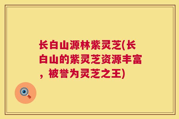 长白山源林紫灵芝(长白山的紫灵芝资源丰富,被誉为灵芝之王) 长白山源林紫灵芝(长白山的紫灵芝资源丰富,被誉为灵芝之王)