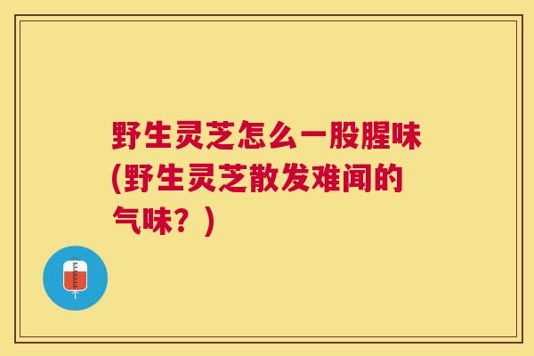 野生灵芝怎么一股腥味(野生灵芝散发难闻的气味?) 野生灵芝怎么一股腥味(野生灵芝散发难闻的气味?)