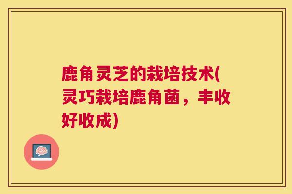 鹿角灵芝的栽培技术(灵巧栽培鹿角菌，丰收好收成)
