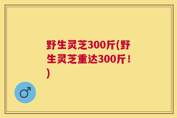 野生灵芝300斤(野生灵芝重达300斤!) 野生灵芝300斤(野生灵芝重达300斤!)
