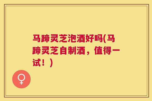 马蹄灵芝泡酒好吗(马蹄灵芝自制酒，值得一试！)