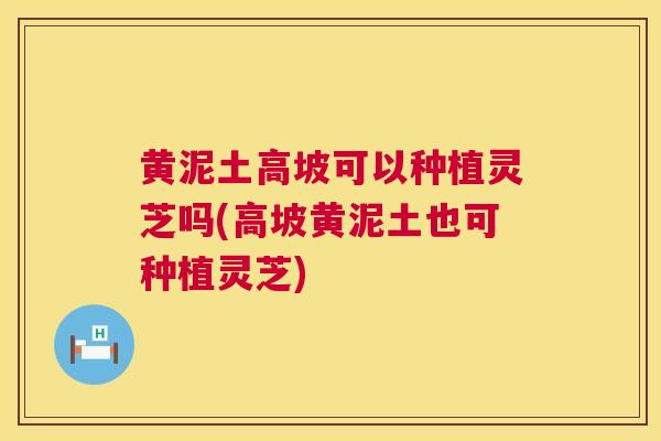 黄泥土高坡可以种植灵芝吗(高坡黄泥土也可种植灵芝)
