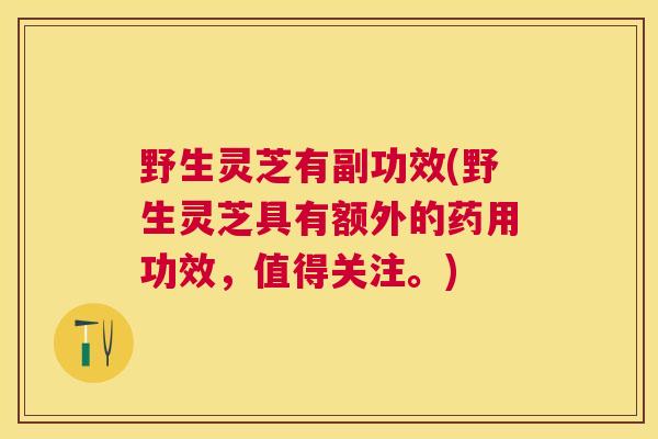 野生灵芝有副功效(野生灵芝具有额外的药用功效,值得关注。) 野生灵芝有副功效(野生灵芝具有额外的药用功效,值得关注。)