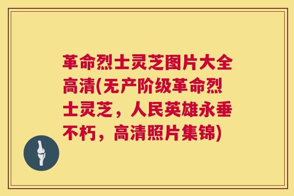 革命烈士灵芝图片大全高清(无产阶级革命烈士灵芝,人民英雄永垂不朽,高清照片集锦) 革命烈士灵芝图片大全高清(无产阶级革命烈士灵芝,人民英雄永垂不朽,高清照片集锦)