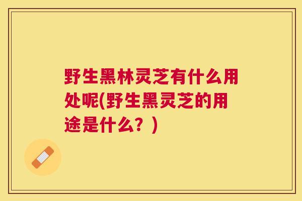 野生黑林灵芝有什么用处呢(野生黑灵芝的用途是什么?) 野生黑林灵芝有什么用处呢(野生黑灵芝的用途是什么?)