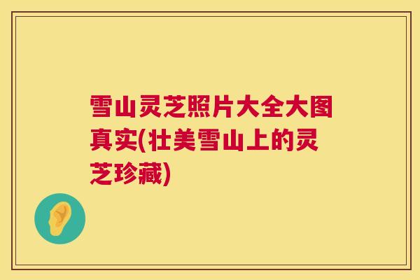 雪山灵芝照片大全大图真实(壮美雪山上的灵芝珍藏) 雪山灵芝照片大全大图真实(壮美雪山上的灵芝珍藏)