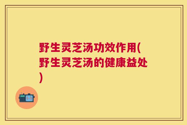 野生灵芝汤功效作用(野生灵芝汤的健康益处)