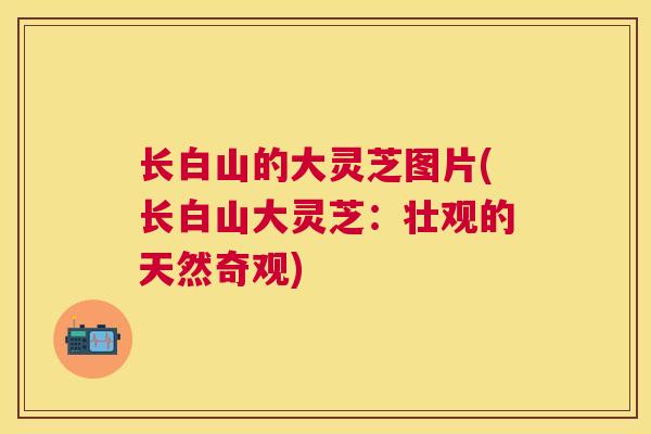 长白山的大灵芝图片(长白山大灵芝：壮观的天然奇观)