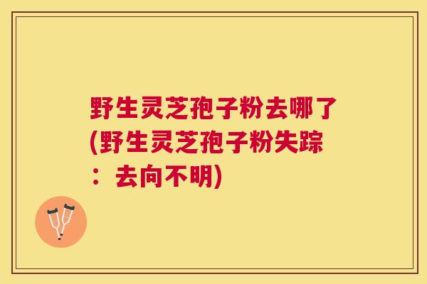 野生灵芝孢子粉去哪了(野生灵芝孢子粉失踪:去向不明) 野生灵芝孢子粉去哪了(野生灵芝孢子粉失踪:去向不明)