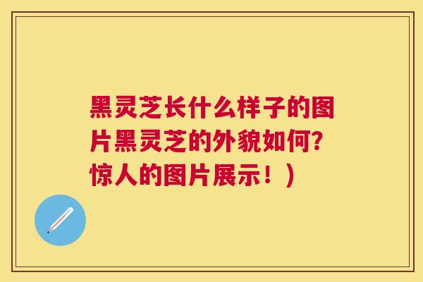 黑灵芝长什么样子的图片黑灵芝的外貌如何？惊人的图片展示！)