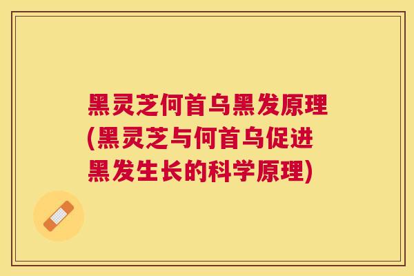 黑灵芝何首乌黑发原理(黑灵芝与何首乌促进黑发生长的科学原理) 黑灵芝何首乌黑发原理(黑灵芝与何首乌促进黑发生长的科学原理)