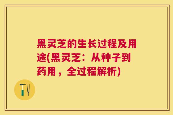 黑灵芝的生长过程及用途(黑灵芝:从种子到药用,全过程解析) 黑灵芝的生长过程及用途(黑灵芝:从种子到药用,全过程解析)
