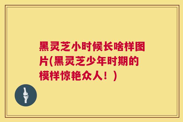 黑灵芝小时候长啥样图片(黑灵芝少年时期的模样惊艳众人!) 黑灵芝小时候长啥样图片(黑灵芝少年时期的模样惊艳众人!)