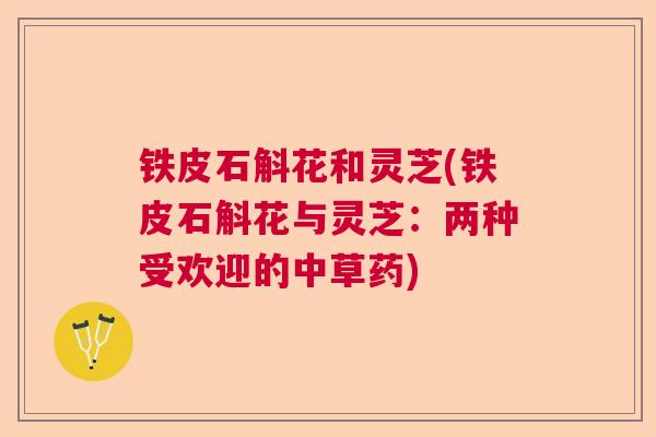铁皮石斛花和灵芝(铁皮石斛花与灵芝:两种受欢迎的中草药) 铁皮石斛花和灵芝(铁皮石斛花与灵芝:两种受欢迎的中草药)