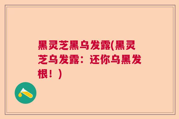黑灵芝黑乌发露(黑灵芝乌发露:还你乌黑发根!) 黑灵芝黑乌发露(黑灵芝乌发露:还你乌黑发根!)