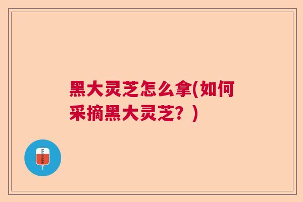 黑大灵芝怎么拿(如何采摘黑大灵芝?) 黑大灵芝怎么拿(如何采摘黑大灵芝?)