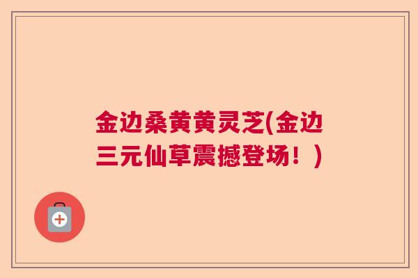 金边桑黄黄灵芝(金边三元仙草震撼登场!) 金边桑黄黄灵芝(金边三元仙草震撼登场!)