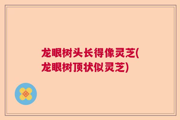 龙眼树头长得像灵芝(龙眼树顶状似灵芝) 龙眼树头长得像灵芝(龙眼树顶状似灵芝)