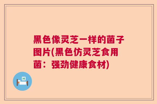 黑色像灵芝一样的菌子图片(黑色仿灵芝食用菌:强劲健康食材) 黑色像灵芝一样的菌子图片(黑色仿灵芝食用菌:强劲健康食材)