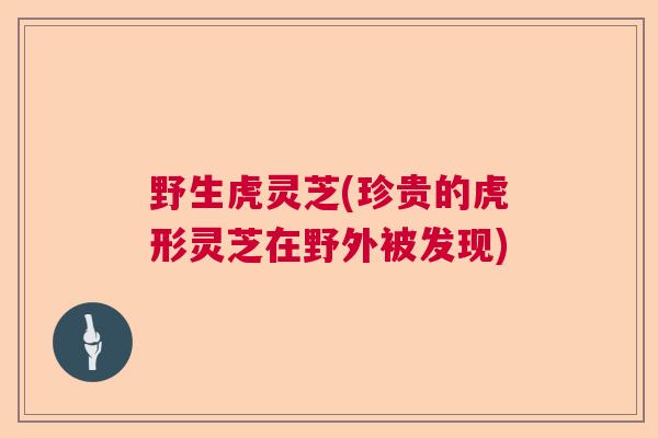 野生虎灵芝(珍贵的虎形灵芝在野外被发现) 野生虎灵芝(珍贵的虎形灵芝在野外被发现)