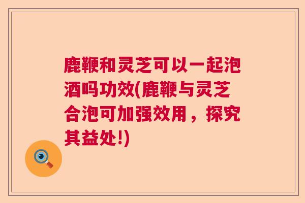 鹿鞭和灵芝可以一起泡酒吗功效(鹿鞭与灵芝合泡可加强效用,探究其益处!) 鹿鞭和灵芝可以一起泡酒吗功效(鹿鞭与灵芝合泡可加强效用,探究其益处!)