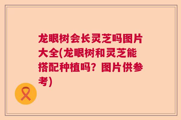 龙眼树会长灵芝吗图片大全(龙眼树和灵芝能搭配种植吗?图片供参考) 龙眼树会长灵芝吗图片大全(龙眼树和灵芝能搭配种植吗?图片供参考)