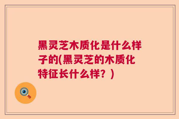 黑灵芝木质化是什么样子的(黑灵芝的木质化特征长什么样?) 黑灵芝木质化是什么样子的(黑灵芝的木质化特征长什么样?)