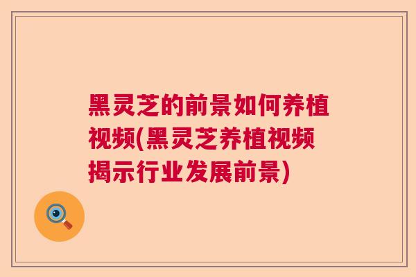 黑灵芝的前景如何养植视频(黑灵芝养植视频揭示行业发展前景) 黑灵芝的前景如何养植视频(黑灵芝养植视频揭示行业发展前景)
