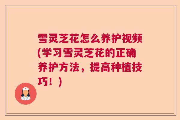 雪灵芝花怎么养护视频(学习雪灵芝花的正确养护方法,提高种植技巧!) 雪灵芝花怎么养护视频(学习雪灵芝花的正确养护方法,提高种植技巧!)