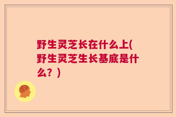 野生灵芝长在什么上(野生灵芝生长基底是什么?) 野生灵芝长在什么上(野生灵芝生长基底是什么?)