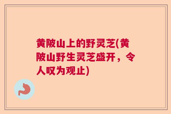 黄陂山上的野灵芝(黄陂山野生灵芝盛开,令人叹为观止) 黄陂山上的野灵芝(黄陂山野生灵芝盛开,令人叹为观止)