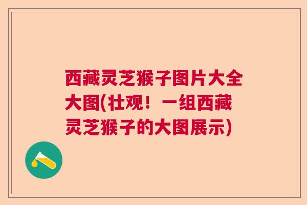 西藏灵芝猴子图片大全大图(壮观!一组西藏灵芝猴子的大图展示) 西藏灵芝猴子图片大全大图(壮观!一组西藏灵芝猴子的大图展示)