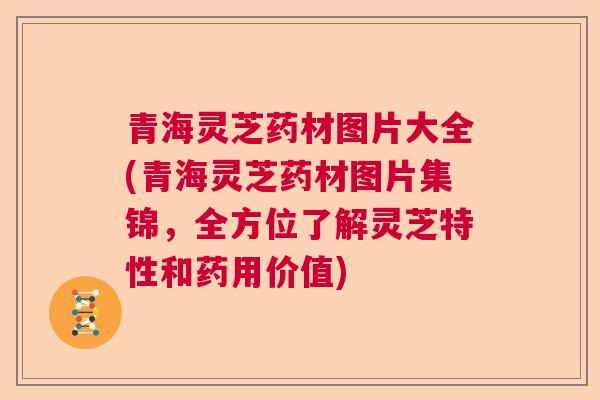 青海灵芝药材图片大全(青海灵芝药材图片集锦,全方位了解灵芝特性和药用价值) 青海灵芝药材图片大全(青海灵芝药材图片集锦,全方位了解灵芝特性和药用价值)