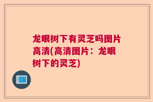 龙眼树下有灵芝吗图片高清(高清图片:龙眼树下的灵芝) 龙眼树下有灵芝吗图片高清(高清图片:龙眼树下的灵芝)