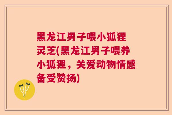 黑龙江男子喂小狐狸 灵芝(黑龙江男子喂养小狐狸,关爱动物情感备受赞扬) 黑龙江男子喂小狐狸 灵芝(黑龙江男子喂养小狐狸,关爱动物情感备受赞扬)