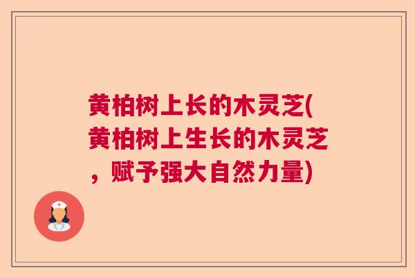 黄柏树上长的木灵芝(黄柏树上生长的木灵芝，赋予强大自然力量)