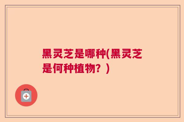 黑灵芝是哪种(黑灵芝是何种植物?) 黑灵芝是哪种(黑灵芝是何种植物?)