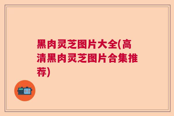 黑肉灵芝图片大全(高清黑肉灵芝图片合集推荐) 黑肉灵芝图片大全(高清黑肉灵芝图片合集推荐)