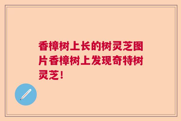 香樟树上长的树灵芝图片香樟树上发现奇特树灵芝! 香樟树上长的树灵芝图片香樟树上发现奇特树灵芝!