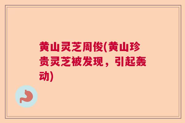 黄山灵芝周俊(黄山珍贵灵芝被发现,引起轰动) 黄山灵芝周俊(黄山珍贵灵芝被发现,引起轰动)
