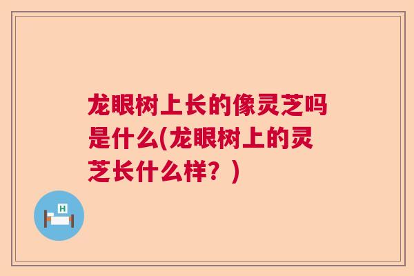 龙眼树上长的像灵芝吗是什么(龙眼树上的灵芝长什么样?) 龙眼树上长的像灵芝吗是什么(龙眼树上的灵芝长什么样?)