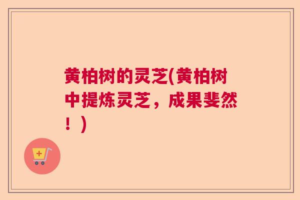 黄柏树的灵芝(黄柏树中提炼灵芝,成果斐然!) 黄柏树的灵芝(黄柏树中提炼灵芝,成果斐然!)