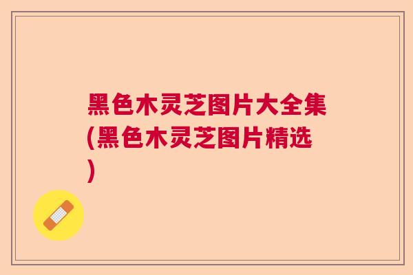 黑色木灵芝图片大全集(黑色木灵芝图片精选) 黑色木灵芝图片大全集(黑色木灵芝图片精选)